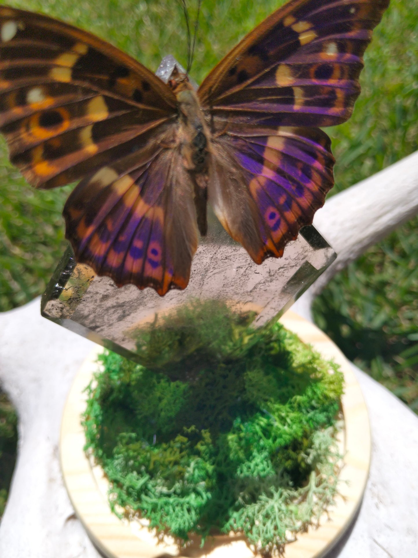 The Threshold Keeper