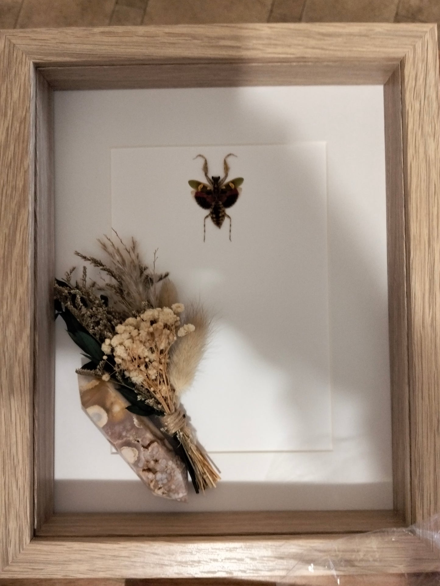 The Petal-Skin Alchemist