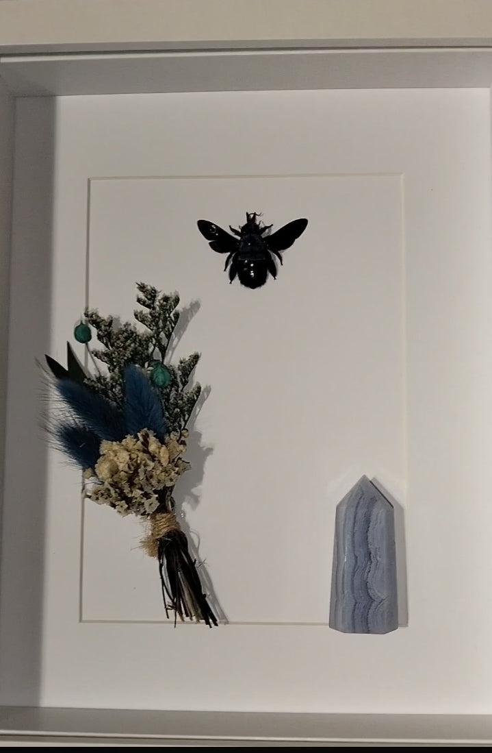 The Moonlight Alchemist’s Echo