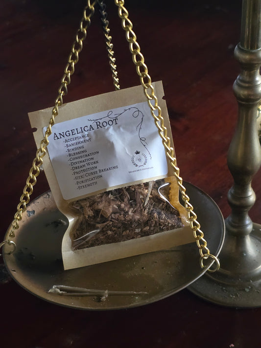 Angelica Root