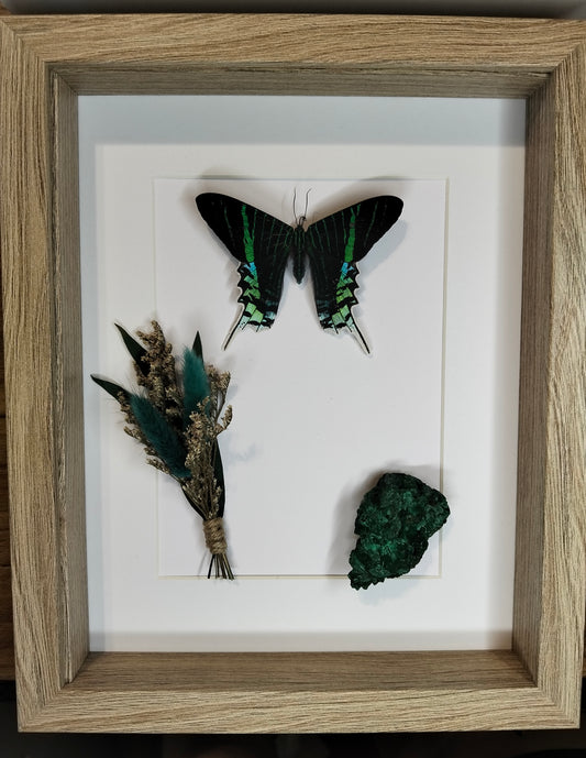 The Green Alchemist’s Harvest