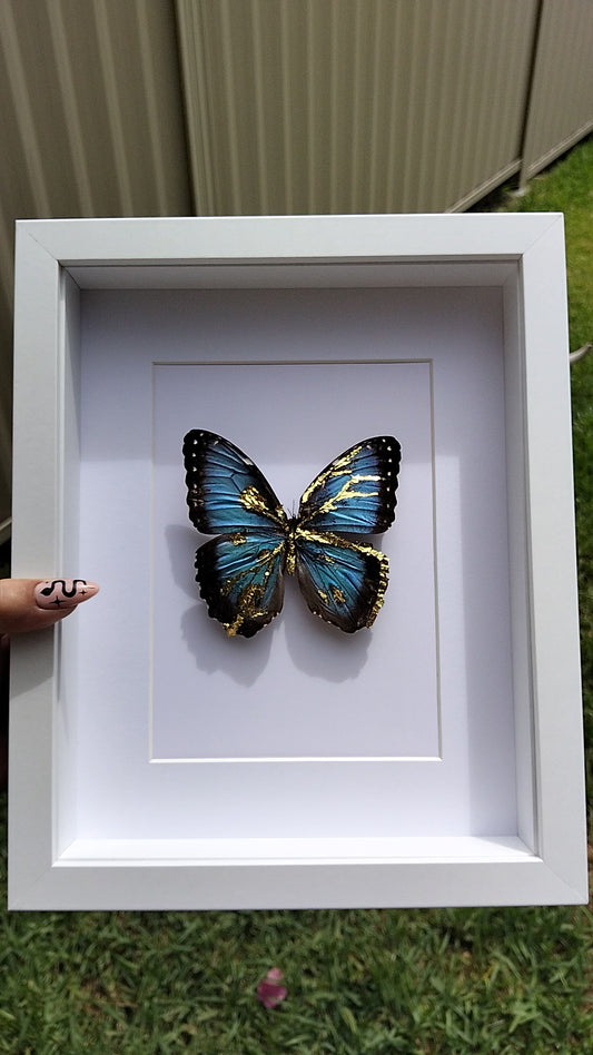 The Guilded Morpho