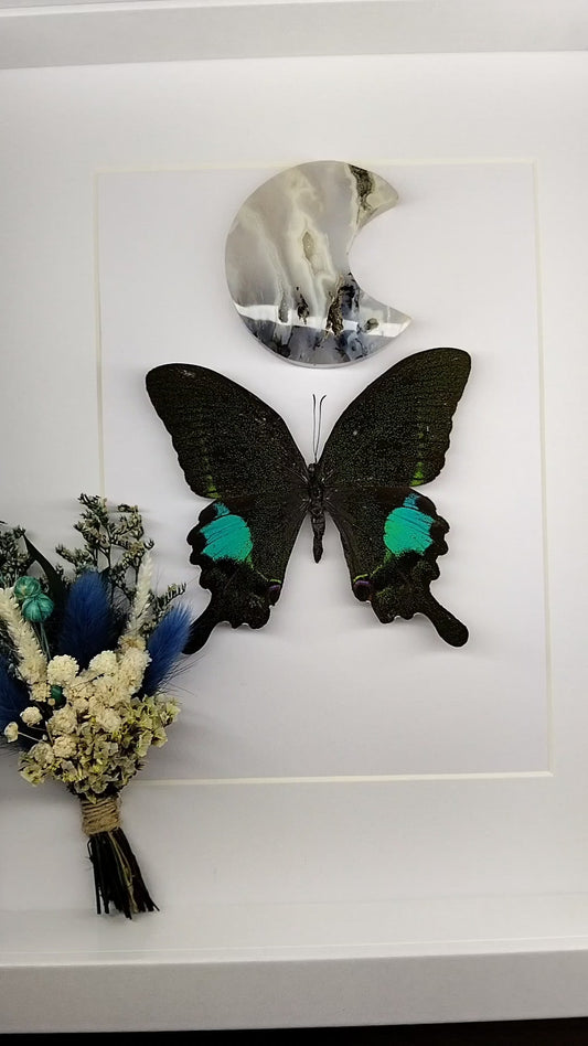 The lunar connection