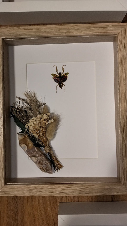 The Petal-Skin Alchemist