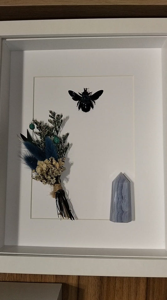 The Moonlight Alchemist’s Echo